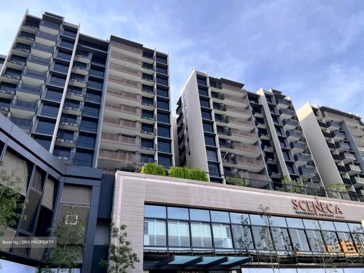 Sceneca Residence (D16), Apartment #539448091